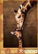 Giraffe mit Baby