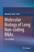 Molecular Biology of Long Non-coding RNAs