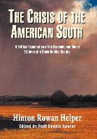 The Crisis of the American South: A Critical Examination of the Economic and Moral Failures of a Slave-Holding Society