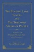 The Tantra Without Syllables (Vol 3) and The Blazing Lamp Tantra (Vol 4)