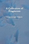A Collection of Fragments