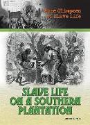 Slave Life on a Southern Plantation