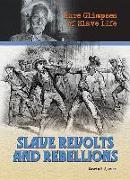 Slave Revolts and Rebellions