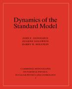 Dynamics of the Standard Model