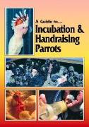 A Guide to Incubation & Handraising Parrots