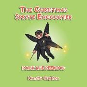 The Christmas Spryte Encounter: Package Peeking