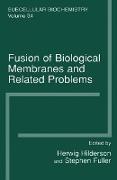 Fusion of Biological Membranes and Related Problems