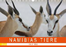 Namibias Tiere - wild im Bild (Wandkalender 2020 DIN A3 quer)