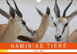 Namibias Tiere - wild im Bild (Wandkalender 2020 DIN A4 quer)