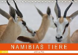 Namibias Tiere - wild im Bild (Tischkalender 2020 DIN A5 quer)