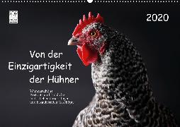 Von der Einzigartigkeit der Hühner 2020 (Wandkalender 2020 DIN A2 quer)