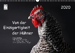 Von der Einzigartigkeit der Hühner 2020 (Wandkalender 2020 DIN A3 quer)