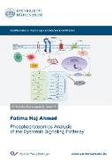 Phosphoproteomics Analysis of the Systemin Signaling Pathway