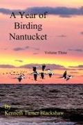 A Year of Birding Nantucket: Volume Three