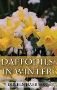 Daffodils in Winter