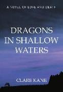 Dragons in Shallow Waters