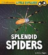 Splendid Spiders