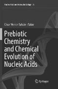 Prebiotic Chemistry and Chemical Evolution of Nucleic Acids