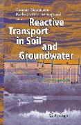 Reactive Transport in Soil and Groundwater