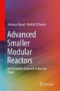 Advanced Smaller Modular Reactors