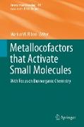 Metallocofactors that Activate Small Molecules