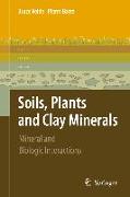 Soils, Plants and Clay Minerals