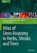 Atlas of Stem Anatomy in Herbs, Shrubs and Trees