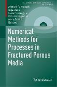 Numerical Methods for Processes in Fractured Porous Media