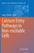 Calcium Entry Pathways in Non-excitable Cells