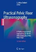 Practical Pelvic Floor Ultrasonography