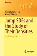 Jump SDEs and the Study of Their Densities