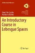 An Introductory Course in Lebesgue Spaces