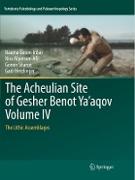 The Acheulian Site of Gesher Benot Ya¿aqov Volume IV