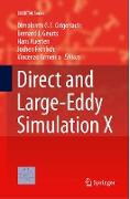 Direct and Large-Eddy Simulation X