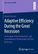 Adaptive Efficiency During the Great Recession