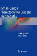 Small-Gauge Vitrectomy for Diabetic Retinopathy