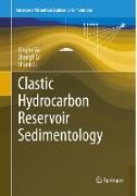 Clastic Hydrocarbon Reservoir Sedimentology