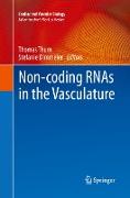 Non-coding RNAs in the Vasculature