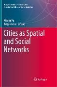 Cities as Spatial and Social Networks