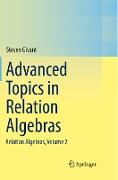 Advanced Topics in Relation Algebras