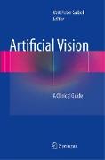 Artificial Vision