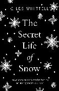 The Secret Life of Snow