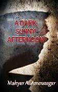 A Dark Sunny Afternoon