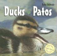 Ducks/Patos