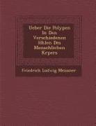Ueber Die Polypen in Den Verschiedenen H Hlen Des Menschlichen K Rpers