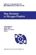 New Horizons in Nitrogen Fixation