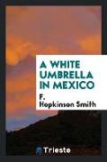 A White Umbrella in Mexico