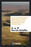 Die Wanzenartigen Insecten: Getreu Nach Der Natur Abgebildet Und Beschrieben