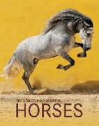 The World's Most Beautiful Horses / Die schönsten Pferde der Welt / Los caballos mas bellos del mundo