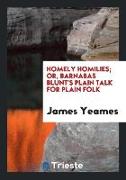 Homely Homilies, Or, Barnabas Blunt's Plain Talk for Plain Folk